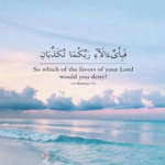 Mahtab.G