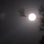AmirReza.G